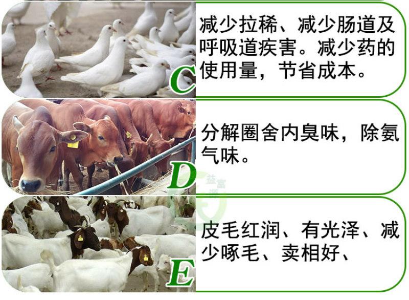 益富源牛羊益生菌调理肠胃消化拉稀反刍动物用饲料添加剂犊牛