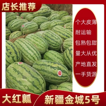 新疆西瓜，金城五号西瓜，保质保量，口感细脆，产地直发