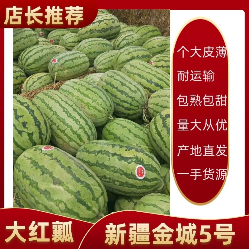 新疆西瓜，金城五号西瓜，保质保量，口感细脆，产地直发