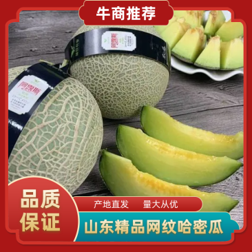 精品网纹瓜玫珑鲁厚甜产地直供专业代办欢迎老板前来选购