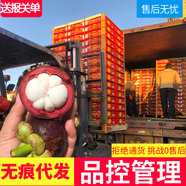一件代发泰国山竹5斤装新鲜应当季孕妇5A热带水果三竹整箱