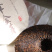 高货普洱2019年勐海班章金芽古树老熟茶357克昆明干仓