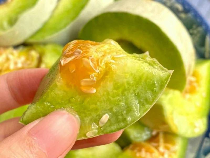 甜瓜，山东甜瓜博洋9，博洋61大量上市，欢迎来电咨询！