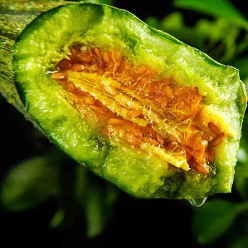 新鲜甜瓜河北博洋9号甜瓜大量上市，可代收，全国发货