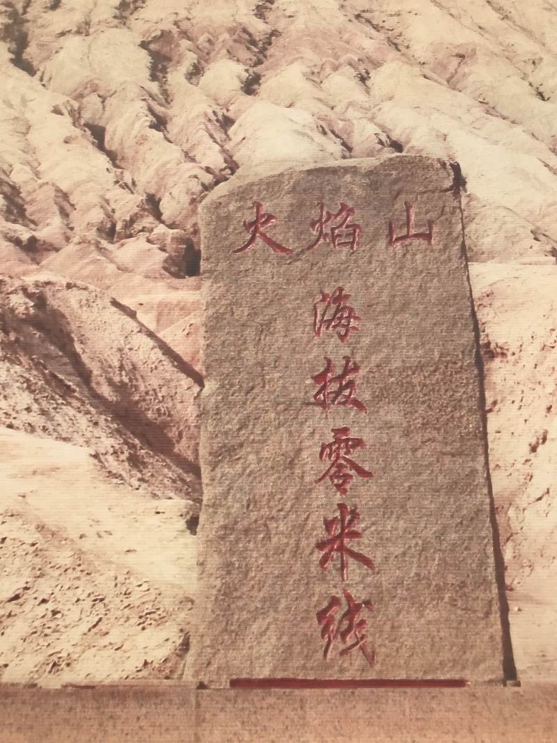 新疆西瓜，金成五号，当天现货，订购采摘，全国可发