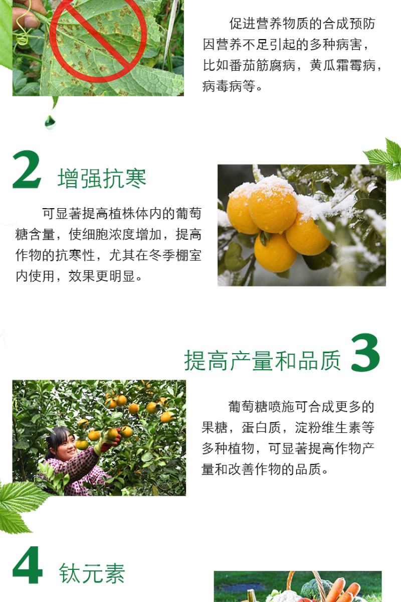 禾绿源葡萄糖钛螯合微量元素叶面肥水溶肥蔬菜水果增甜度抗冻