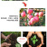 禾绿源葡萄糖钛螯合微量元素叶面肥水溶肥蔬菜水果增甜度抗冻