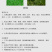 禾绿源水溶钙肥草莓果树螯合钙防裂果高吸收糖醇钙叶面肥