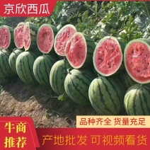 《诚信靠谱》山东潍坊京欣西瓜大量上市了欢迎来电咨询