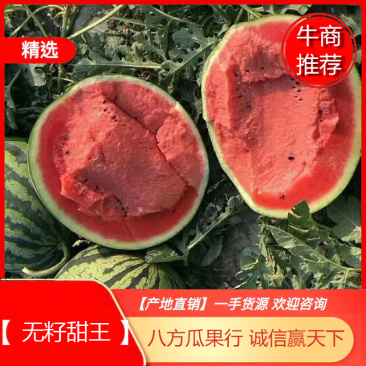 陕西蒲城大棚直生苗甜王西瓜现已大量上市