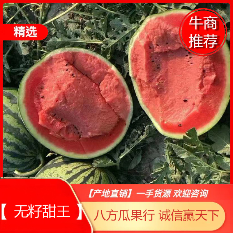 陕西蒲城大棚直生苗甜王西瓜现已大量上市