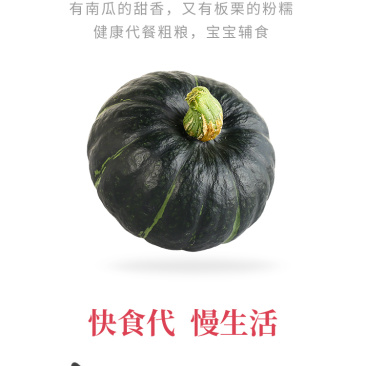 板栗南瓜现摘现发正宗板栗味小南瓜宝宝辅食粉糯甜代收代发