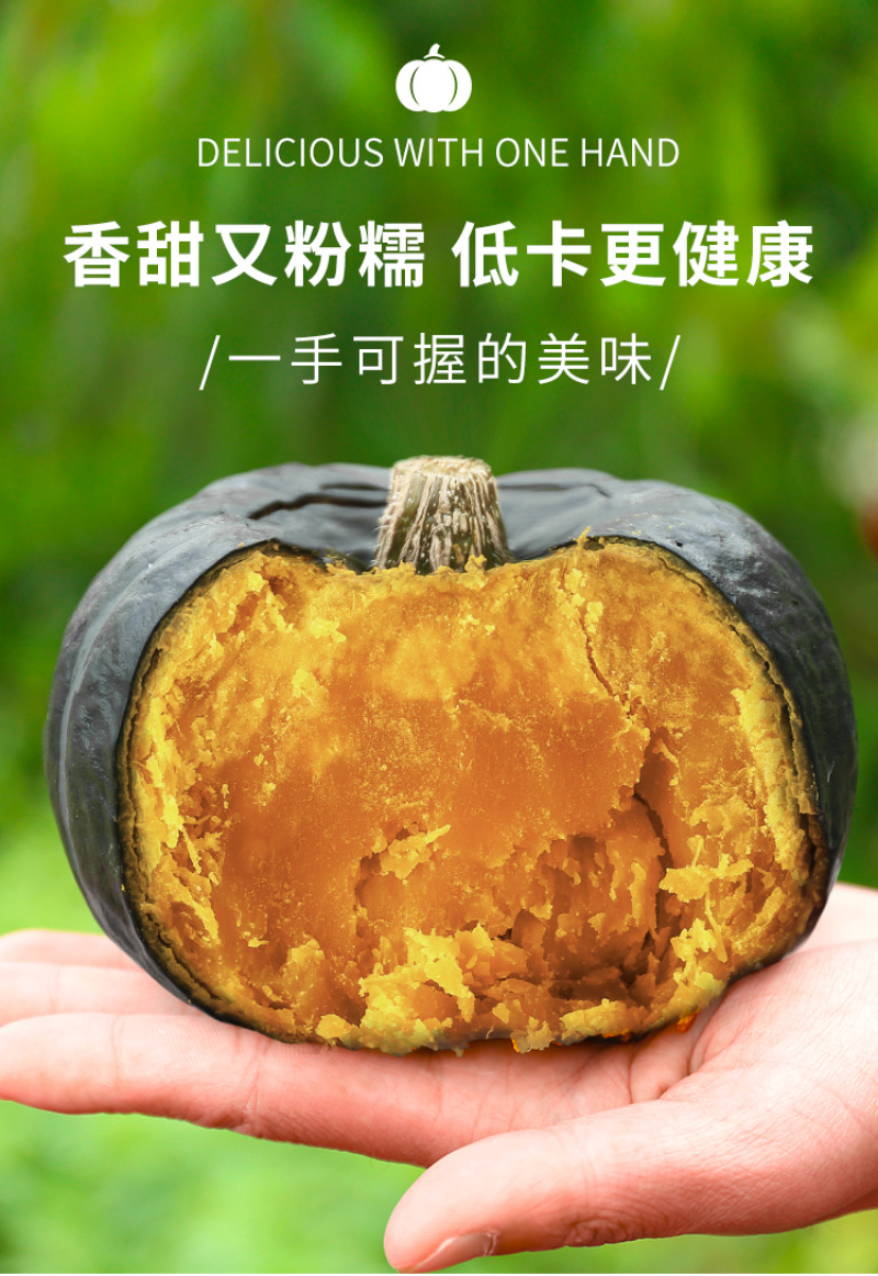 板栗南瓜现摘现发正宗板栗味小南瓜宝宝辅食粉糯甜代收代发