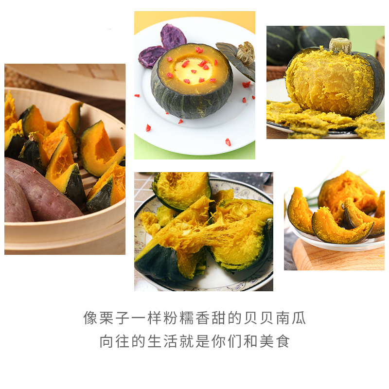 板栗南瓜现摘现发正宗板栗味小南瓜宝宝辅食粉糯甜代收代发