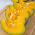 板栗南瓜现摘现发包邮新鲜栗子老南瓜粉糯甜沙漠板栗味