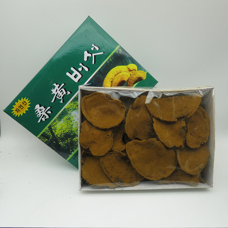 西藏桑树桑黄盒装特级桑特级桑黄菌种500克包邮中药材