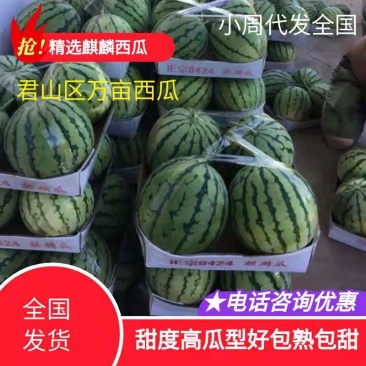 湖南岳阳西瓜，基地麒麟西瓜8斤打底9成熟包熟包甜