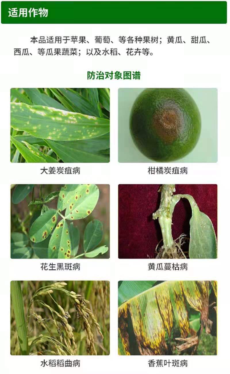28%苯甲咪鲜胺叶斑病黑星病炭疽病白粉轮纹疮痂病杀菌剂