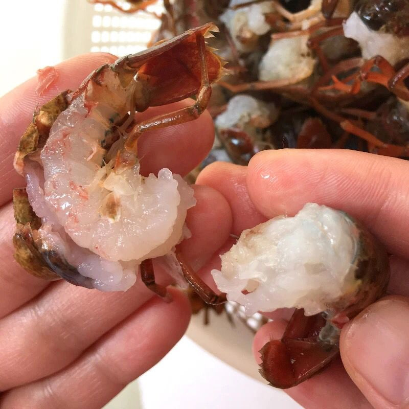 湖北洪湖新鲜大号小龙虾尾1斤装顺丰包邮