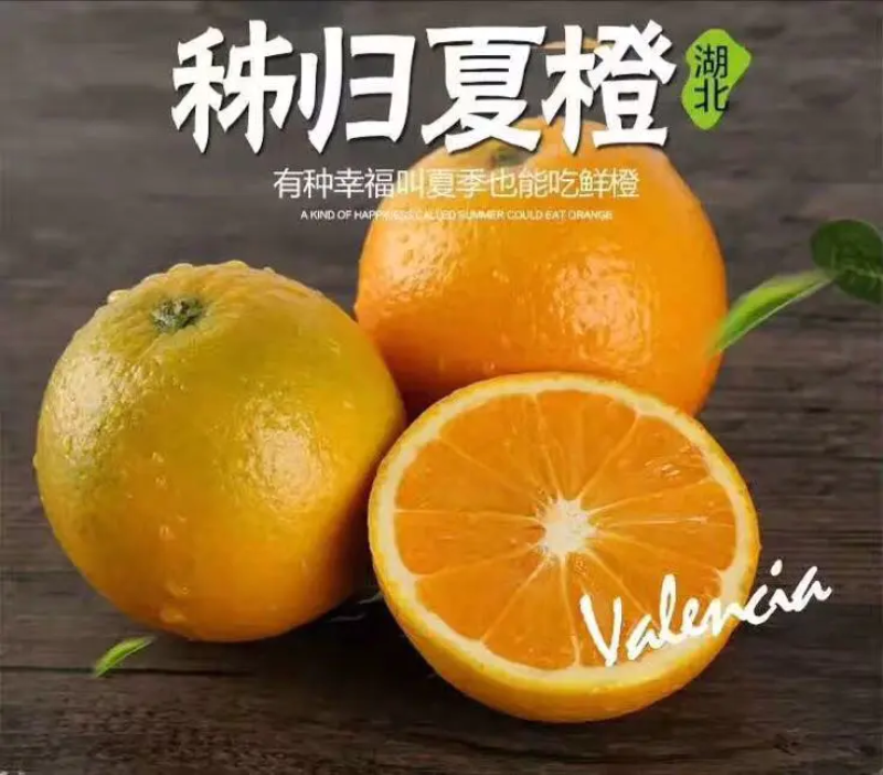 湖北夏橙，优质夏橙、应季新鲜水果、皮薄、产地直销