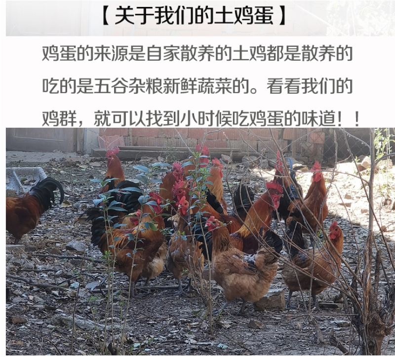 农家散养土鸡蛋60枚装新鲜农村正宗土鸡蛋生草鸡蛋月子蛋包