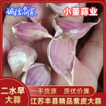 四川二水早大蒜，基地自产自销供货全国，量大从优质量保证！