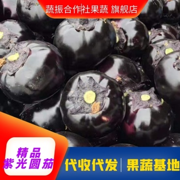 紫光圆茄山东圆茄蔬菜产区超市配车团购集采代收代发