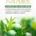正宗新会小青柑云南普洱茶陈皮柑普茶熟茶小青桔茶叶500g