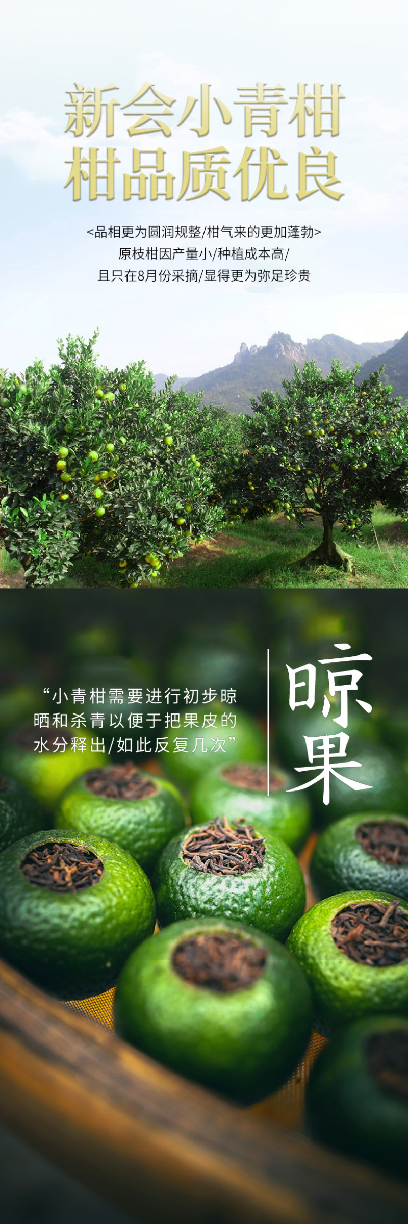 正宗新会小青柑云南普洱茶陈皮柑普茶熟茶小青桔茶叶500g