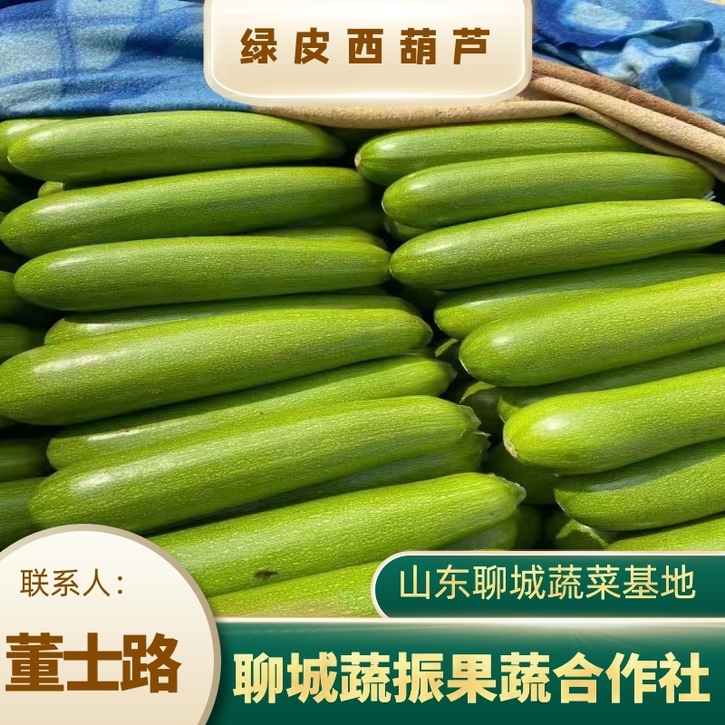 绿皮西葫芦聊城西葫芦大棚蔬菜产区，货源足，可提供视频