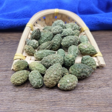 野西瓜500g包邮新疆特产批发野西瓜老鼠瓜