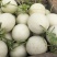 玉菇甜瓜万亩基地河南滑县冰清玉菇甜瓜大量上市质量好价格低