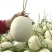 玉菇甜瓜万亩基地河南滑县冰清玉菇甜瓜大量上市质量好价格低