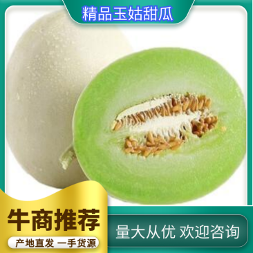 玉菇甜瓜万亩基地河南滑县冰清玉菇甜瓜大量上市质量好价格低