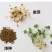紫花苜蓿草种籽多年生四季南北方牧草种子芽苗菜养殖牛羊鱼草