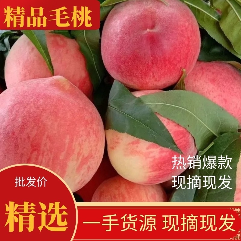 陕西桃子上市了，口感纯甜产地供应，批发价格，产地批发