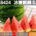 夏邑美都个大包甜新鲜上市一茬瓜欢迎咨询1