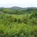 农村5000亩山地流转出租