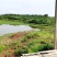 农村5000亩山地流转出租