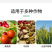 禾绿源微力奇微量元素水溶肥通用绿叶蔬菜果树膨果水溶肥料