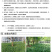 包邮草坪种子红花酢浆草红花炸酱草三叶草白花三叶草四季