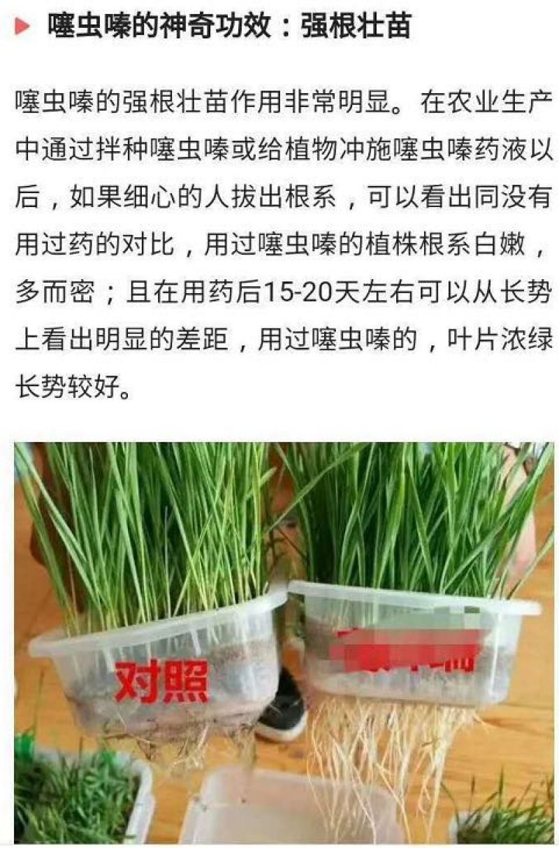 25%噻虫嗪颗粒剂杀虫蓟马蚧克虫蚜虫盲蝽象飞虱噻虫螓农药