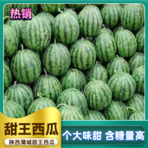 精品陕西甜王西瓜一手货源产地直供果品优质全国发