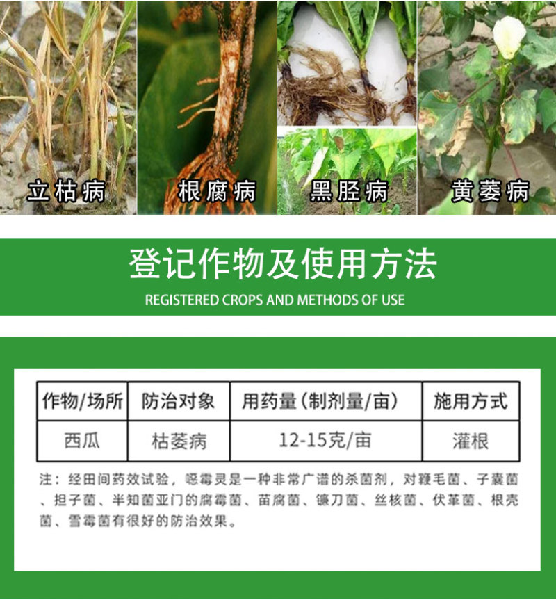 绿亨98%噁恶霉灵蔬菜根腐病立枯病枯萎病死苗烂根土壤消毒