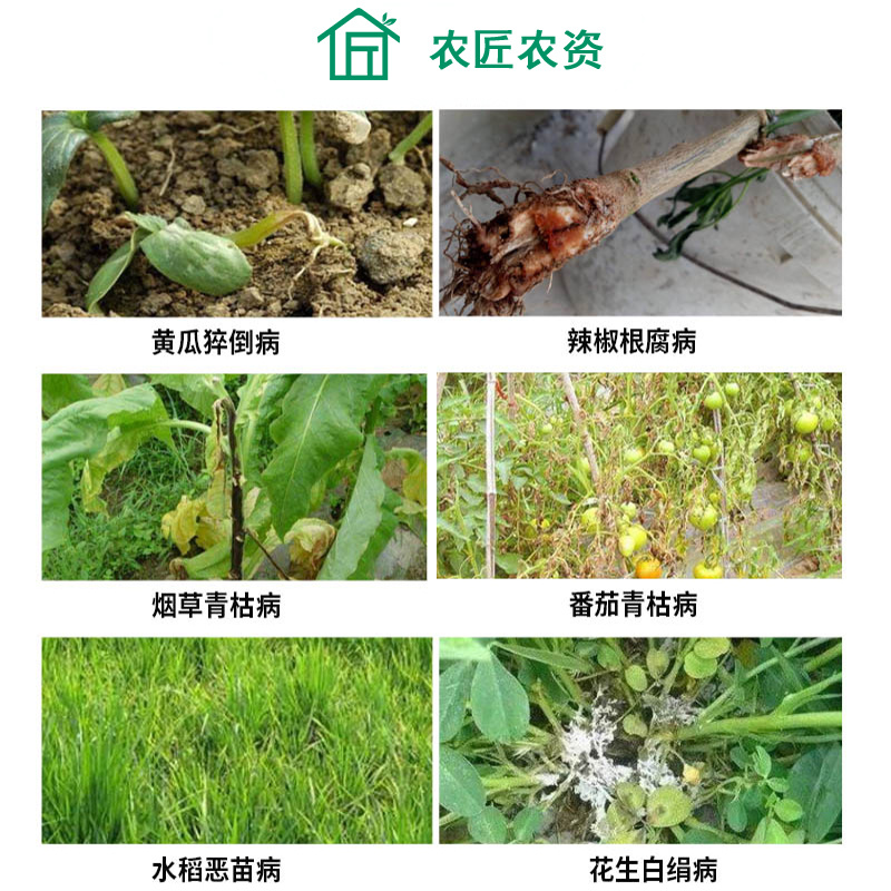 绿亨98%噁恶霉灵蔬菜根腐病立枯病枯萎病死苗烂根土壤消毒