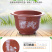 A型圆形白色塑料花盆绿植盆栽育苗盆可定做无孔荷花水培不漏