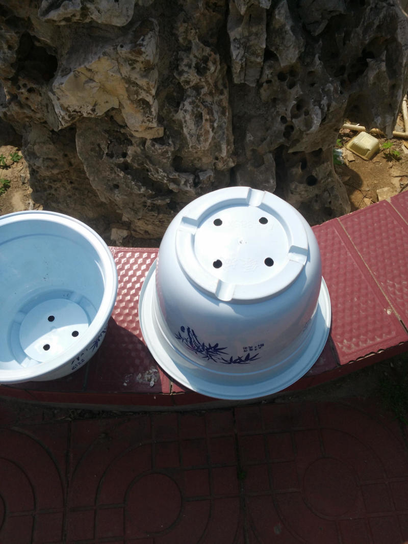 A型圆形白色塑料花盆绿植盆栽育苗盆可定做无孔荷花水培不漏