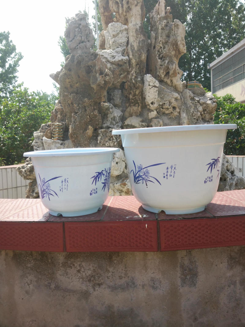 A型圆形白色塑料花盆绿植盆栽育苗盆可定做无孔荷花水培不漏