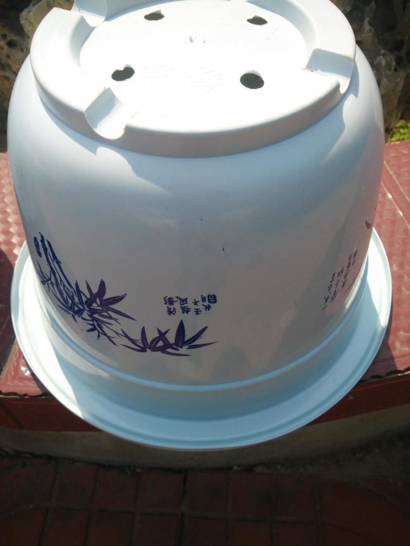 A型圆形白色塑料花盆绿植盆栽育苗盆可定做无孔荷花水培不漏