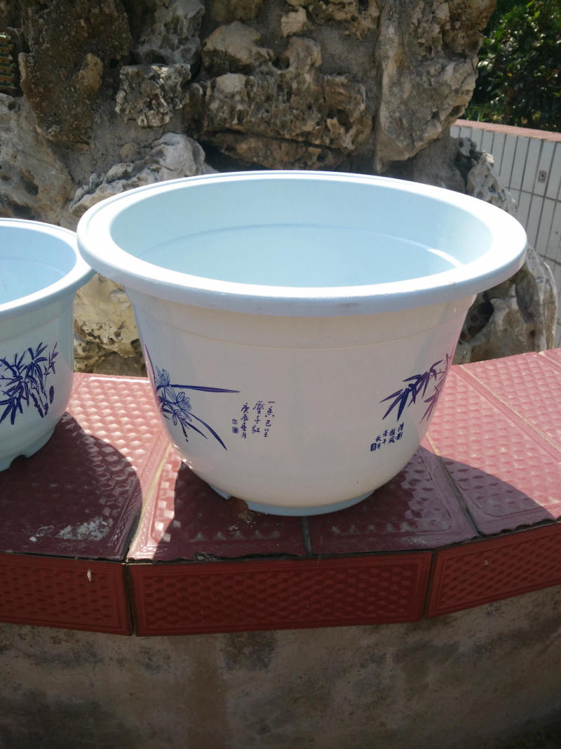 A型圆形白色塑料花盆绿植盆栽育苗盆可定做无孔荷花水培不漏
